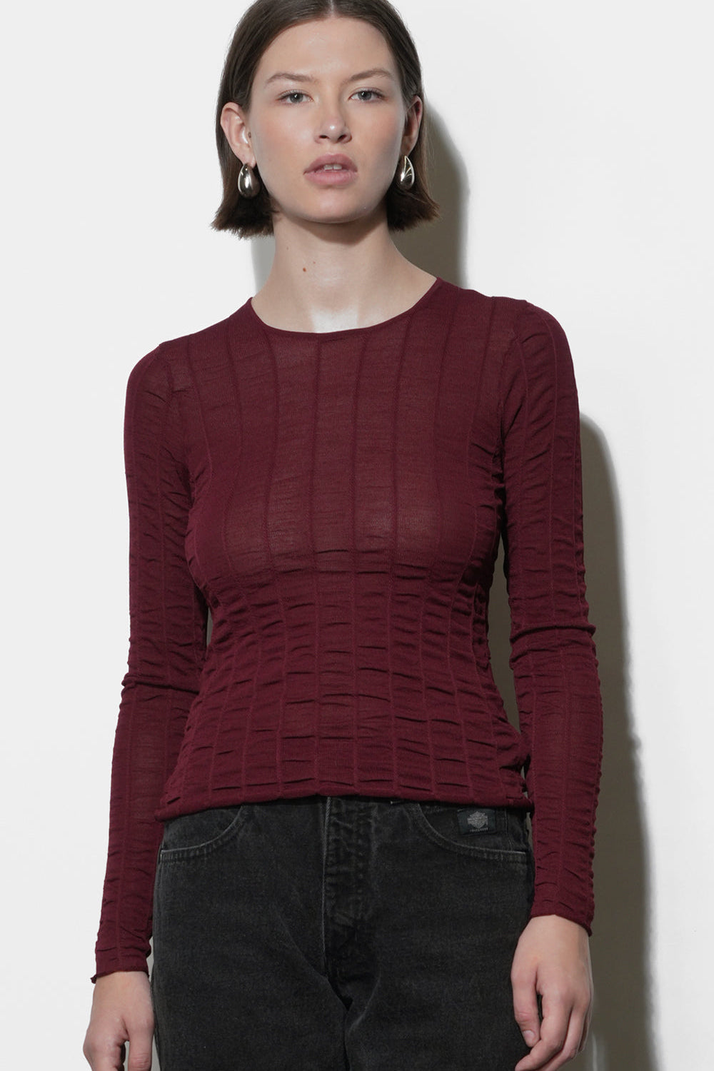 Freya_Sheer_Textured_Mesh_Long_Sleeve_Top.jpg