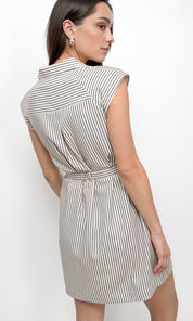 Snider Stripe Shirt Dress