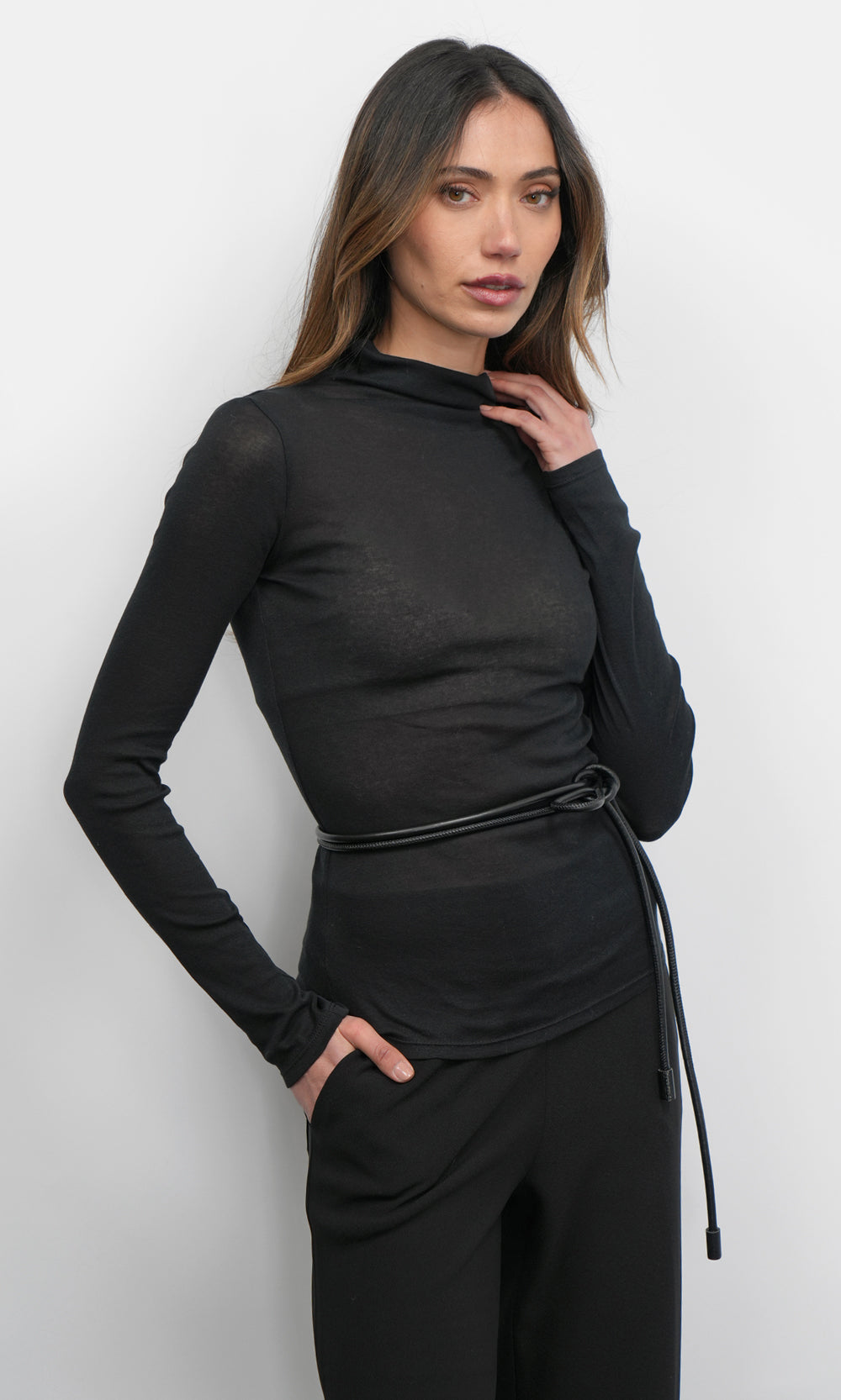 Astra High Neck Long Sleeve Sheer Knit Top