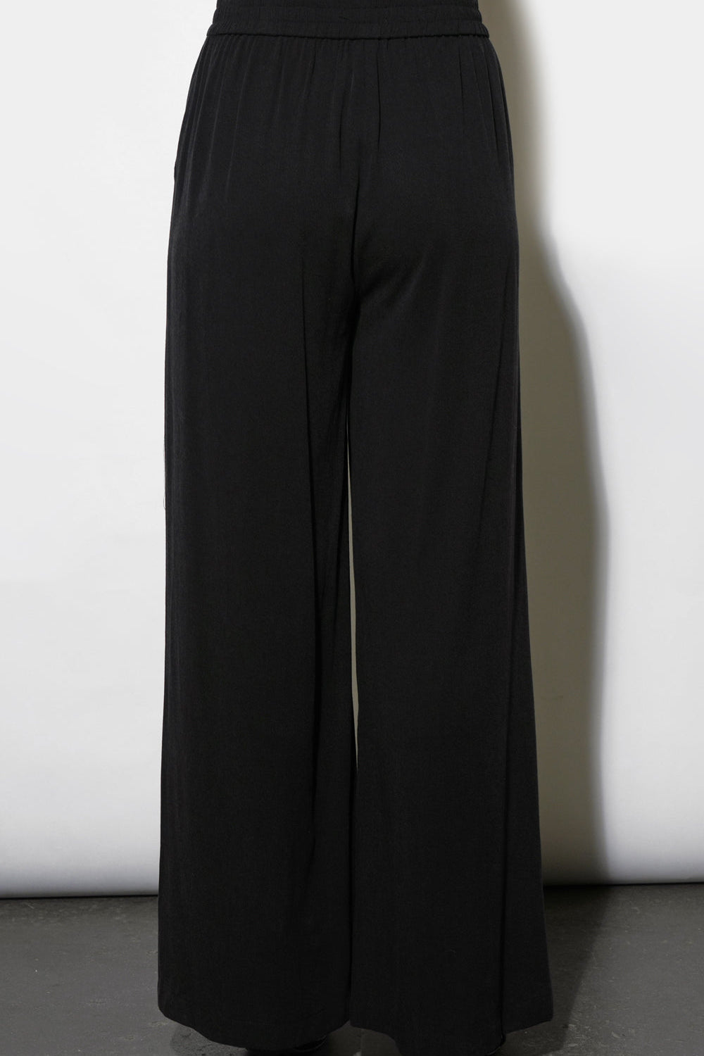 G262P6537RowynPintuckedWideLegPants2.jpg