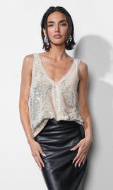 Ivy V-neck Velvet Sequin Top