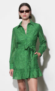 Tabitha Embroidered Cinched Waist Mini Dress