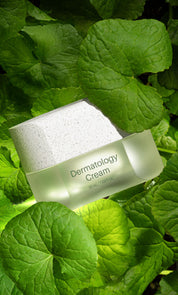 Dermatology Cream